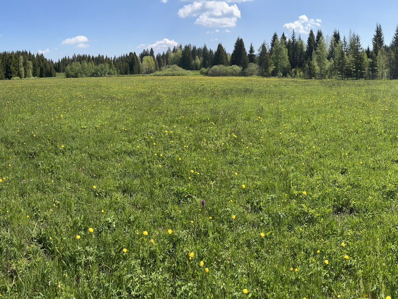 23-05-27 11-28-03 5727